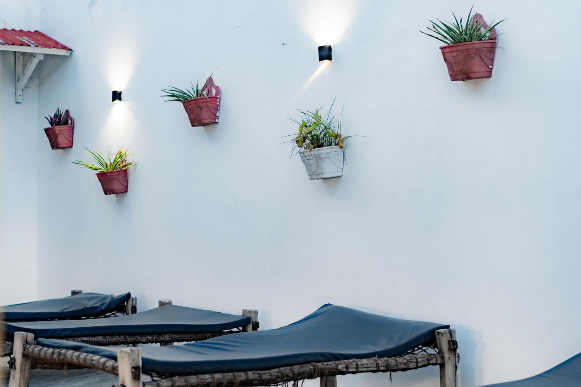 Zanzi House Hotel Zanzibar Ngoại thất bức ảnh