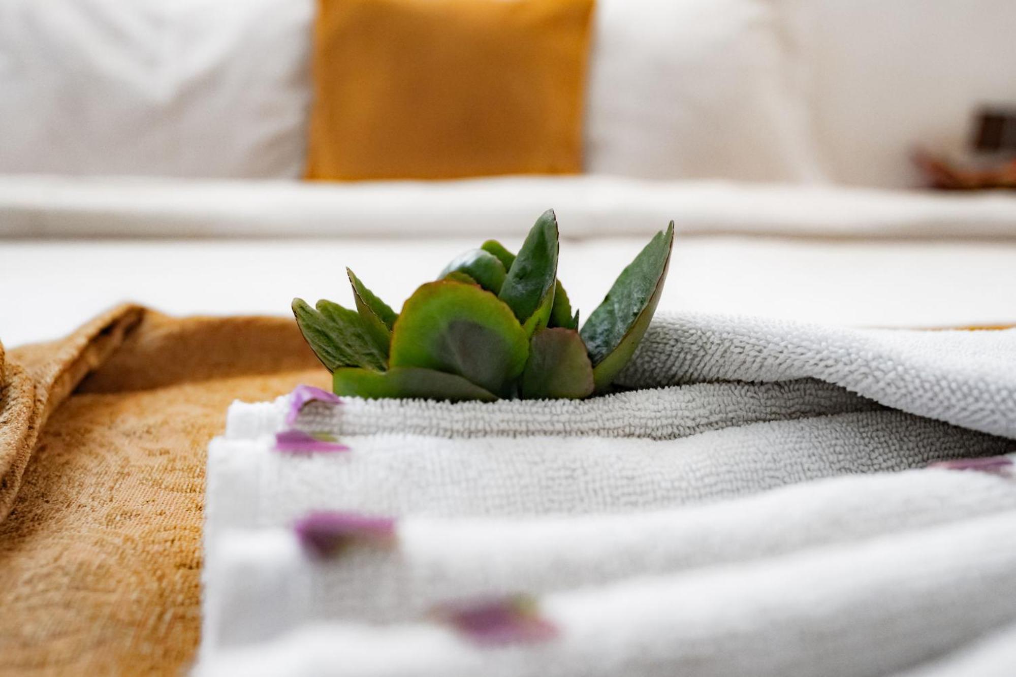 Zanzi House Hotel Zanzibar Ngoại thất bức ảnh